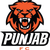 Minerva Punjab