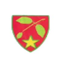 Mostistea Ulmu