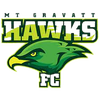 Mount Gravatt Hawks