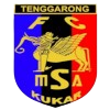 MSA FC