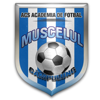 Muscelul Campulung