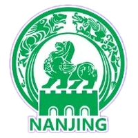 Nanjing Team