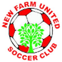 New Farm United Reserves