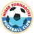 Niger Tornadoes FC