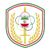 Niroye Zamini