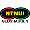 Ntnui'
