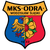 Odra Wodzislaw Slaski