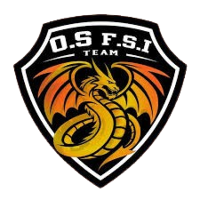 Orange Sport FSI