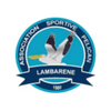 Pelican Lambarene