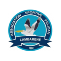 Pelican Lambarene