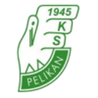 Pelikan Lowicz