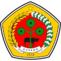PS Kabupaten Kupang