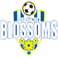 San Antonio Blossoms (W)