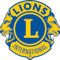 Sandown Lions FC