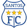 Santos de Nasca
