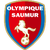 Saumur OL