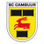 SC Cambuur Leeuwarden