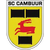 SC Cambuur Youth