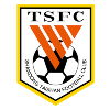Shandong Taishan B