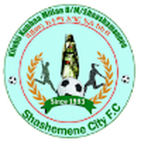 Shashemene Ketema