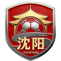 Shenyang Team