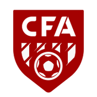 Shenyang Xinye Football Club U15