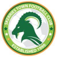 Skerries Town FC