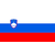 Slovenia Indoor Soccer
