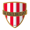 Sokol Brozany
