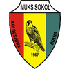 Sokol Kolbuszowa Dolna'