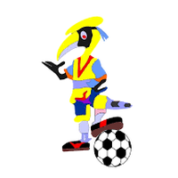 South Tibet FC