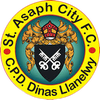 St Asaph City