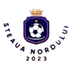 Steaua Nordului