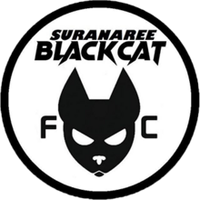 Suranaree Black Cat