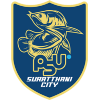 Surat Thani City