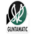 SV Ried