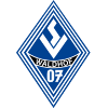SV Waldhof Mannheim Youth