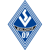 SV Waldhof Mannheim Youth