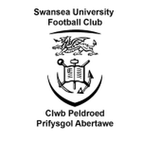 Swansea University
