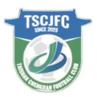Taishan Team