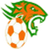 Tarragindi Tigers