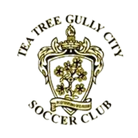 Tea Tree Gully City