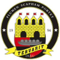 Tervarit