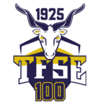 TFSE Budapest
