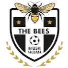 The Bees FC