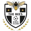 The Bees FC