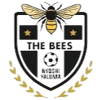 The Bees FC