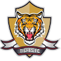 Tigres U19
