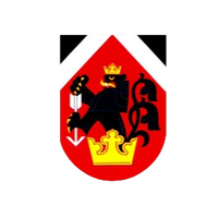 TJ Postrelmov
