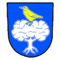 TJ Prazmo Raskovice